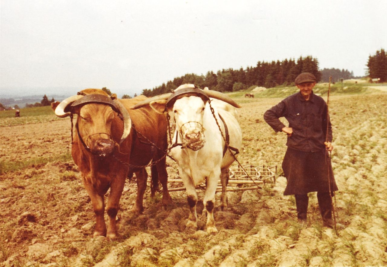 "Pflüge, Eggen, Walzen"